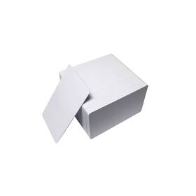 Inntech 732388868933 Salto Keycards 200 Pack