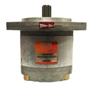 Hpi Hydraulic Gear Pump P2AAN2004HL30A01N Used. Fixed Price $360.52.