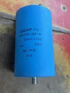 LNF-P3B-250-30 250UF Eicar Aluminum Electrolytic Capacitors 300V. Fixed Price $54.99.