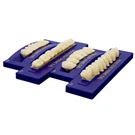 6PC/CARD Prime Dental Acrylic Resin False Teeth Denture Upper Anterior C1-D4. Fixed Price $11.99.