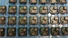 (5 Pcs) PT5027A Ti Power Trend, Dc Converter -8V .6A. Fixed Price $29.95.