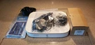 Lorex 4K 8CH Analog Dvr 1HDD Ntsc (color: White) Model #: D841AB-Z.. Fixed Price $200.00.